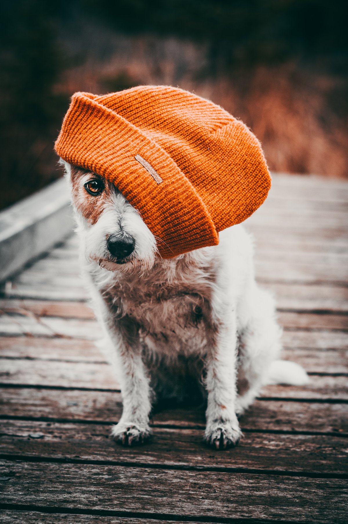 Understanding the Job Market in Edmonton: Navigating Your Career Path Understanding the Job Market in Edmonton: Navigating Your Career Path